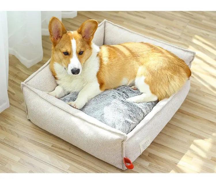 Modern Pet Beds – Elevate Their Sleep, Elevate Their Life - J.S.MDog Bed, Dog ProductCJGY105773606FU