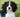 Cavalier King Charles Spaniel: Unveiling the Joys and Challenges - J.S.M