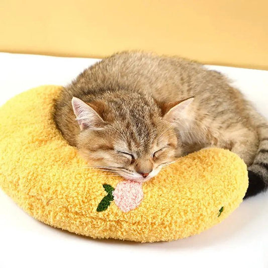 Catnap Serenity on a Sleeping Moon Pillow