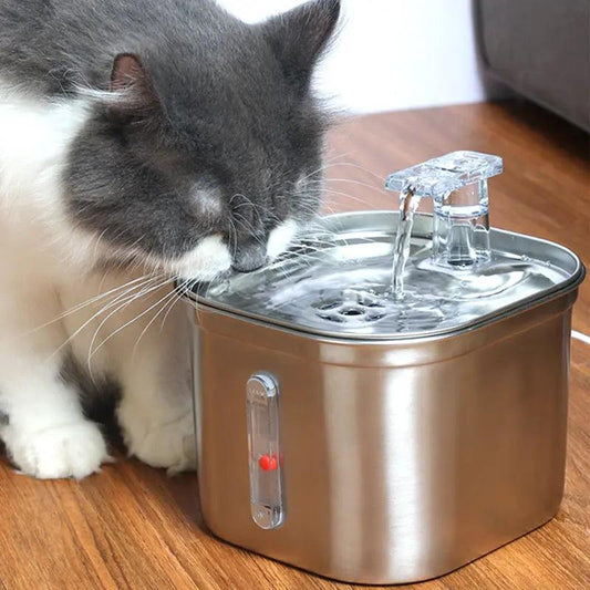 Stainless Steel Automatic Water Feeder 