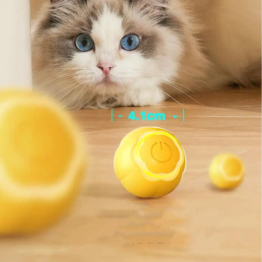 Pet Smart Rolling Ball Cat Toy Bite-resistant Boredom Relief J.S.M