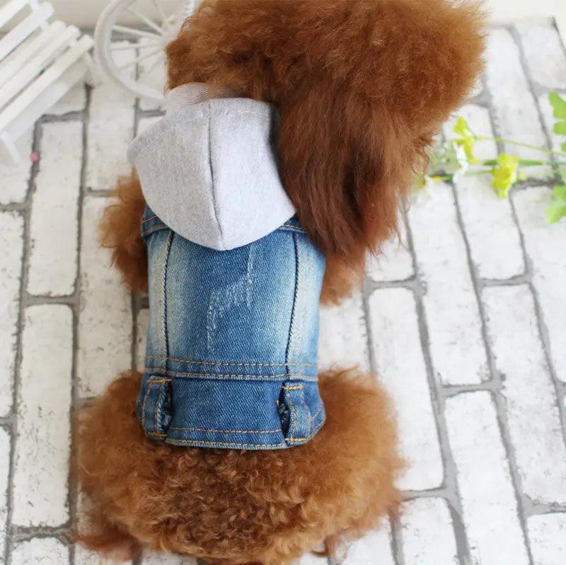 Small Dog Denim Jacket for the Fashion
