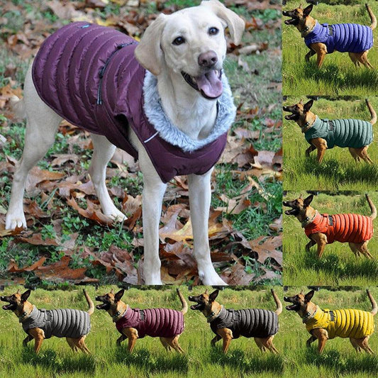 Style Meets Comfort: Dog Cotton Four-Legged Clothing 