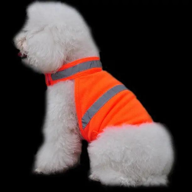 Stay Safe and Stylish: Summer Pet Clothing 