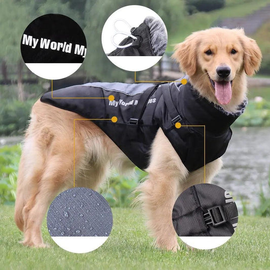 Big Dog Shell Jacket for your Furry Friend 