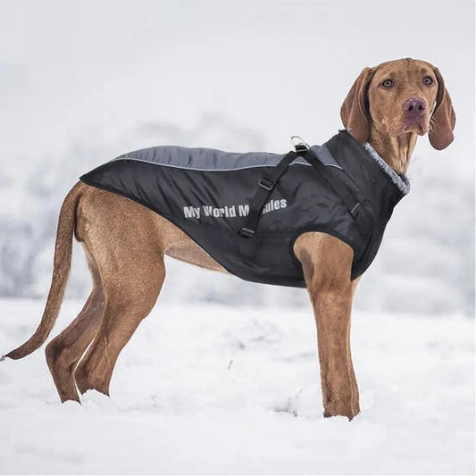 Big Dog Shell Jacket for your Furry Friend - J.S.MDog Clothing, Dog ProductCJGD159278903CX