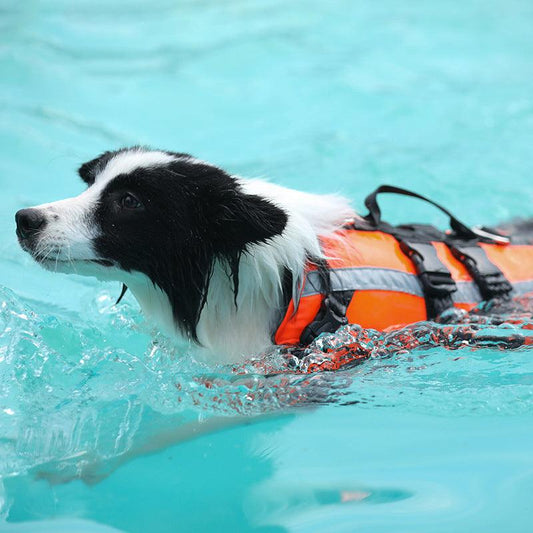 Dog Life-Saving Clothes, Safe Cooling Swimming Suit 
