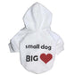 Dog Clothes VIP Teddy hoodie - J.S.MDog Clothing, Dog ProductCJGD100294508HS