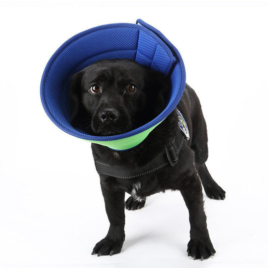 Dog Cat Anti-bite Collar Pet Medical Recovery Collars 