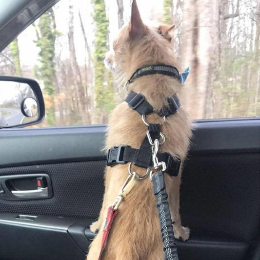 Adjustable Dog Seat Belt Dog Car Seatbelt - J.S.MDog Supplies, Dog ProductCJJJCWGY00039-Beige