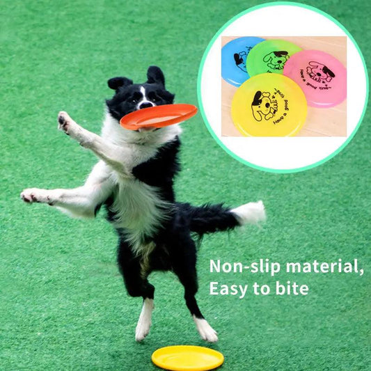 Dog Outdoor Interactive Toy Frisbee