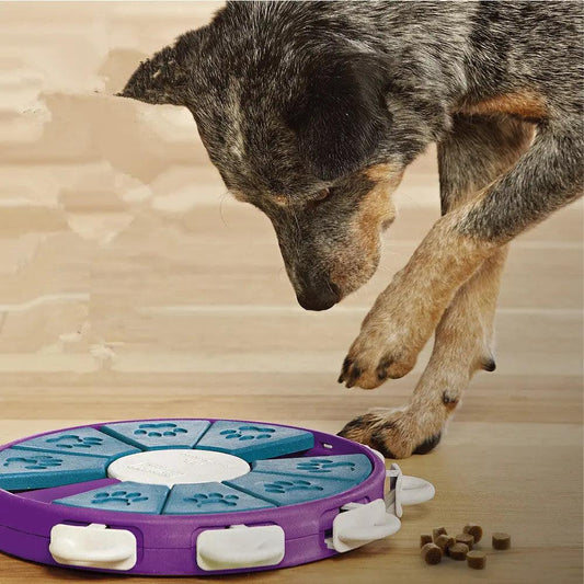 Introducing Doggy Genius Gadgets - Educational Fun for dog 