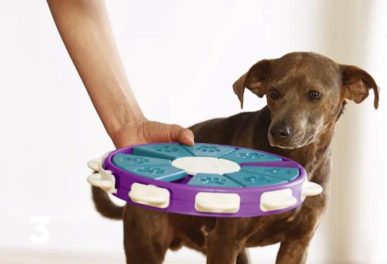 Introducing Doggy Genius Gadgets - Educational Fun for dog - J.S.MDog Toy, Dog ProductCJJJCWGY00992-Blue