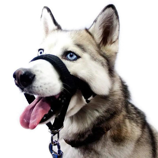 Adjustable Anti-Bite Mask for Your Pup – Safety and Comfort Combined - J.S.MDog Walks, Dog ProductCJJT147030005EV