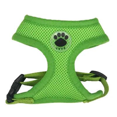 Breathable Mesh Dog Harness – Elevate Your Pup's Walks - J.S.MDog Walks, Dog ProductCJJJCWGY03849-Green-L