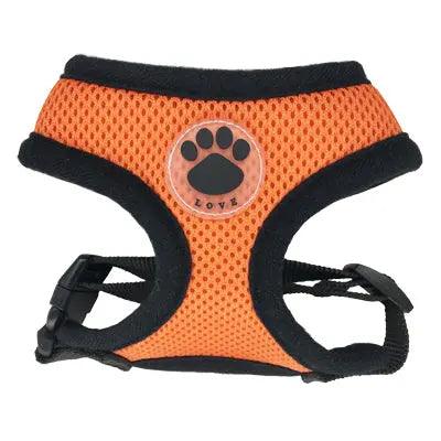 Breathable Mesh Dog Harness – Elevate Your Pup's Walks - J.S.MDog Walks, Dog ProductCJJJCWGY03849-Orange-L
