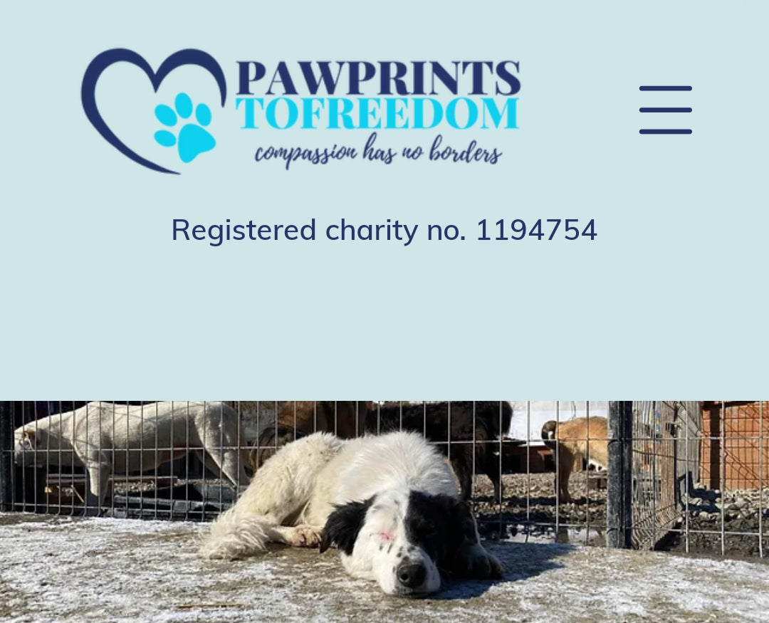 pawprints to freedom charity picture