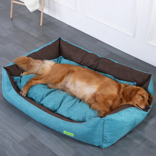 dog bed